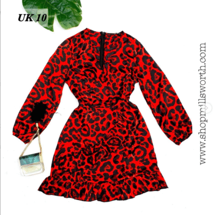 Quiz Animal Print Dress
