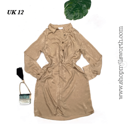 Shirt Dress